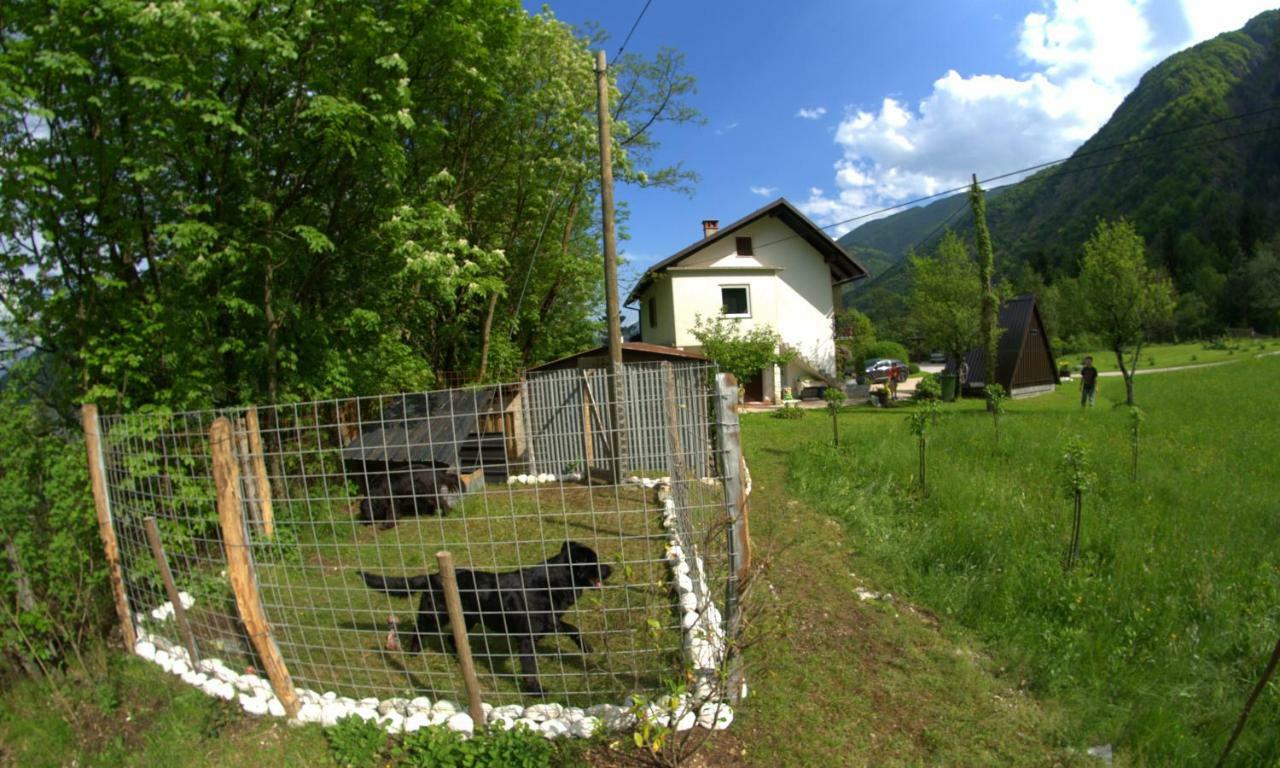 Apartma Bel Zaga Luaran gambar